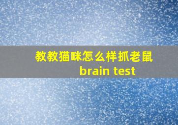 教教猫咪怎么样抓老鼠brain test